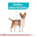 ROYAL CANIN CCN Urinary Care Loaf - mokra karma dla psa dorosłego - 12x85g Royal Canin