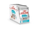 ROYAL CANIN CCN Urinary Care Loaf - mokra karma dla psa dorosłego - 12x85g Royal Canin