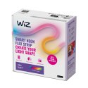 WiZ | Inteligentna listwa świetlna WiFi Neon Flex 3m Type-C | 24 W | RGB WiZ