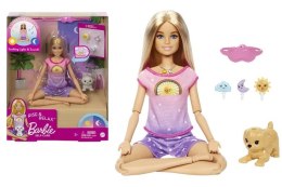 *****Barbie lalka joga i medytacja HCN08 15030 MATTEL