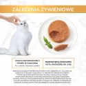 PURINA Gourmet Gold Mus z kurczakiem - mokra karma dla kota - 85g PURINA NESTLE