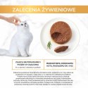 PURINA Gourmet Gold Mus z wołowiną - mokra karma dla kota - 85 g PURINA NESTLE