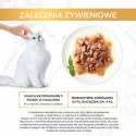 Gourmet Gold Sauce Delights mokra karma dla kota z kurczakiem 85 g PURINA NESTLE