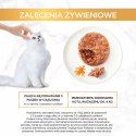 Gourmet Gold Savoury Cake kurczak i marchewka - mokra karma dla kota - 85 g PURINA NESTLE