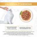 PURINA Gourmet Gold Succulent Delights Kurczak - mokra karma dla kota - 85g PURINA NESTLE