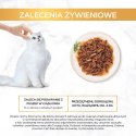 PURINA Gourmet Gold Succulent Delights Wołowina - mokra karma dla kota - 85 g PURINA NESTLE