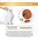 Purina Gourmet Gold królik - mokra karma dla kota - 85 g PURINA NESTLE