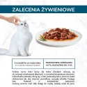 Purina Gourmet Perle fileciki w sosie Mix Smaków - mokra karma dla kota - 60x85 g PURINA NESTLE