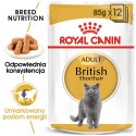 ROYAL CANIN FBN British Shorthair Adult - mokra karma dla dorosłego kota - 12x85g Royal Canin