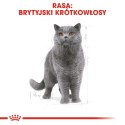 ROYAL CANIN FBN British Shorthair Adult - mokra karma dla dorosłego kota - 12x85g Royal Canin