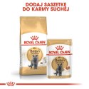 ROYAL CANIN FBN British Shorthair Adult - mokra karma dla dorosłego kota - 12x85g Royal Canin