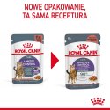 ROYAL CANIN FCN Appetite Control w sosie - mokra karma dla kota dorosłego - 12x85g Royal Canin