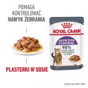 ROYAL CANIN FCN Appetite Control w sosie - mokra karma dla kota dorosłego - 12x85g Royal Canin