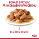 ROYAL CANIN FCN Appetite Control w sosie - mokra karma dla kota dorosłego - 12x85g Royal Canin