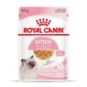 ROYAL CANIN FHN Kitten Instinctive in Jelly - mokra karma dla kociąt - 12x85g Royal Canin