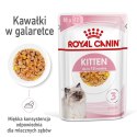 ROYAL CANIN FHN Kitten Instinctive in Jelly - mokra karma dla kociąt - 12x85g Royal Canin