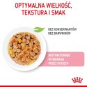 ROYAL CANIN FHN Kitten Instinctive in Jelly - mokra karma dla kociąt - 12x85g Royal Canin