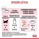 ROYAL CANIN FHN Kitten Instinctive in Jelly - mokra karma dla kociąt - 12x85g Royal Canin