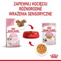 ROYAL CANIN FHN Kitten Instinctive in Jelly - mokra karma dla kociąt - 12x85g Royal Canin