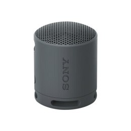 Sony Srs-Xb100 - Wireless Sony