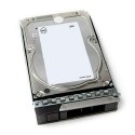 DELL 161-BCJX dysk twardy 12 TB 7200 RPM 3.5" NL-SAS Dell