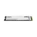 Dysk SSD DAHUA C800N 256GB M.2 SATA DAHUA