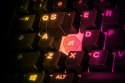 Klawiatura gamingowa SteelSeries Apex 3 Tenkeyless Klawiatura do gier Światło LED RGB Amerykańskie przewodowe przełączniki Whisp SteelSeries