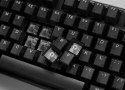 Ducky One 3 Aura TKL klawiatura Gaming USB QWERTY Amerykański międzynarodowy Czarny Ducky