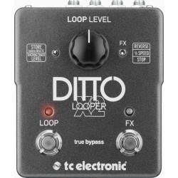 TC Electronic Ditto X2 Looper Looper TC Electronic