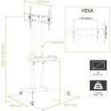 TECHLY STOJAK MOBILNY TV LED/LCD 30-65 CALI 60KG 1 TECHly