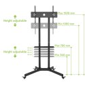 TECHLY STOJAK MOBILNY TV LED/LCD 30-65 CALI 60KG 1 TECHly