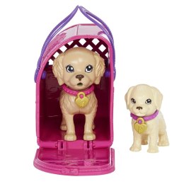 Barbie Adopcja piesków Zestaw + lalka HKD86 MATTEL