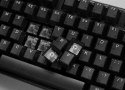 Klawiatura gamingowa Ducky One 3 Aura Black, RGB LED - Gateron Baby Kangaroo (US) Ducky