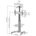 TECHLY MOBILNY STOJAK TV LED/LCD 37-70 CALI 50KG Z TECHly