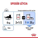 ROYAL CANIN FHN Indoor w galaretce - mokra karma dla kota dorosłego - 12x85 g Royal Canin