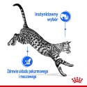 ROYAL CANIN FHN Indoor w galaretce - mokra karma dla kota dorosłego - 12x85 g Royal Canin