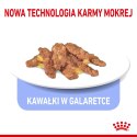 ROYAL CANIN FHN Indoor w galaretce - mokra karma dla kota dorosłego - 12x85 g Royal Canin