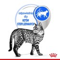 ROYAL CANIN FHN Indoor w galaretce - mokra karma dla kota dorosłego - 12x85 g Royal Canin