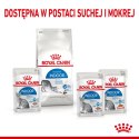 ROYAL CANIN FHN Indoor w galaretce - mokra karma dla kota dorosłego - 12x85 g Royal Canin