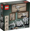 LEGO 21320 Ideas Szkielety dinozaurów Lego