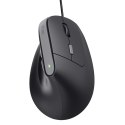 Mysz TRUST BAYO II ERGONOMIC MOUSE BLK (25144) Trust