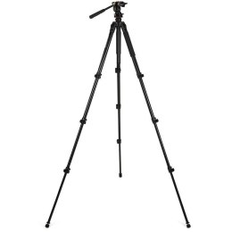 Statyw Celestron Regal CELESTRON