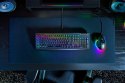 Razer BlackWidow V4 X klawiatura Gaming USB QWERTY Skandynawia Czarny RAZER