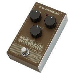 TC Electronic Echobrain Analog Delay Efekt typu delay analogowy TC Electronic