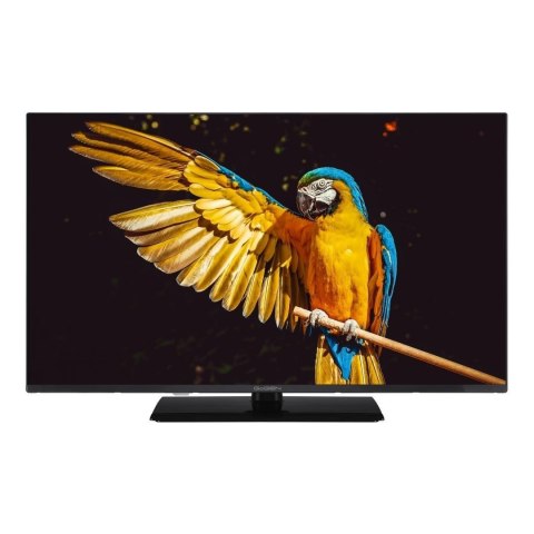 Telewizor GoGEN TVF32M340STWEB 32" Google