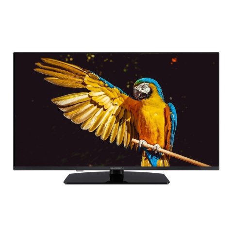 Telewizor GoGEN TVF40M340STWEB 40" Google