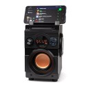 SQUEAK GŁOŚNIK BASSBLASTER BLUETOOTH 5.1, RADIO FM, ODTWARZACZ MP3 SQ1001 SQUEAK