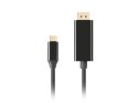 LANBERG KABEL USB-C(M)->DISPLAYPORT(M) 3M 4K 60HZ CZARNY CA-CMDP-10CU-0030-BK Lanberg