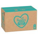 PAMPERS Pieluchomajtki MTH Rozm 6, 15+kg, 132szt Pampers