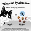 FELIX Crispies Wołowina, Kurczak - przysmak dla kota - 45 g PURINA NESTLE